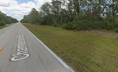Build your Florida dream home on this spacious residential lot - photo 3