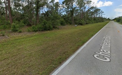 Build your Florida dream home on this spacious residential lot - photo 4