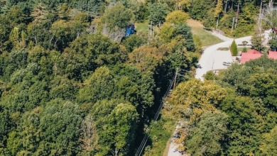Pending: Building Lot by Axtel & Nick's Boat Dock - photo 16