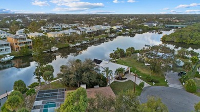 DOCK AND 16,000 LB BOAT LIFT! GULF ACCESS! PRIVATE SALTWATER - photo 43