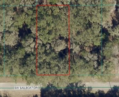 Bonable Lake Lot For Sale in Dunnellon Florida