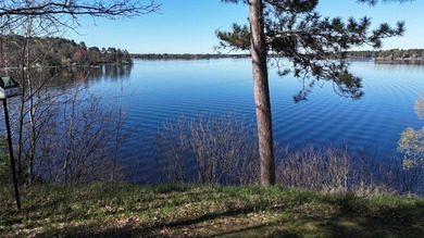 Lake Nokomis perfection! This home and property features - photo 5