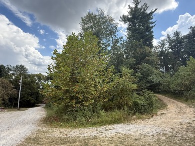 Pending: Building Lot by Axtel & Nick's Boat Dock - photo 4