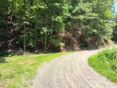 Lake Lot For Sale in Ranger, Georgia