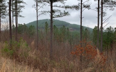 Lake Lot For Sale in Blairsville, Georgia