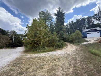 Pending: Building Lot by Axtel & Nick's Boat Dock - photo 3