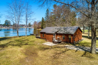 Thunder Bay River Home For Sale in Atlanta Michigan
