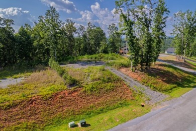 Lake Lot For Sale in Ellijay, Georgia