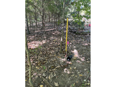 Wooded Residential Lots in Wunderland Est. Subdivision. Close to - photo 1