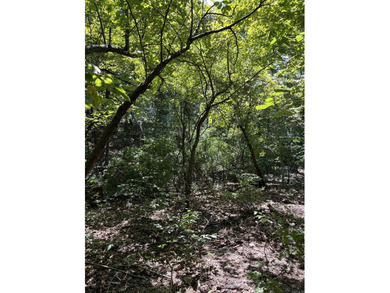 Wooded Residential Lots in Wunderland Est. Subdivision. Close to - photo 2