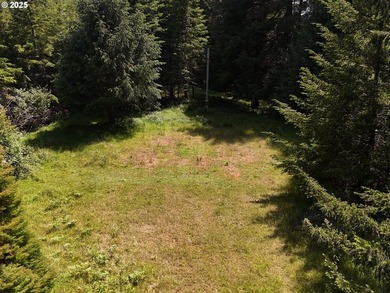 Over 6 Acres of Private, Tranquil and Useable Property. This - photo 12