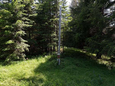 Over 6 Acres of Private, Tranquil and Useable Property. This - photo 13