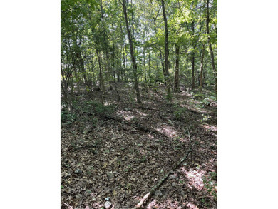 Wooded Residential Lots in Wunderland Est. Subdivision. Close to - photo 4