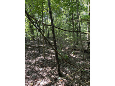 Wooded Residential Lots in Wunderland Est. Subdivision. Close to - photo 5