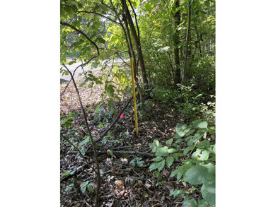 Wooded Residential Lots in Wunderland Est. Subdivision. Close to - photo 6