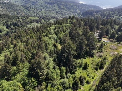 Over 6 Acres of Private, Tranquil and Useable Property. This - photo 16