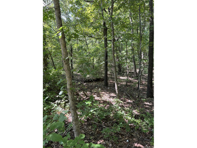 Wooded Residential Lots in Wunderland Est. Subdivision. Close to - photo 7