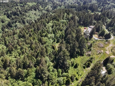Over 6 Acres of Private, Tranquil and Useable Property. This - photo 17