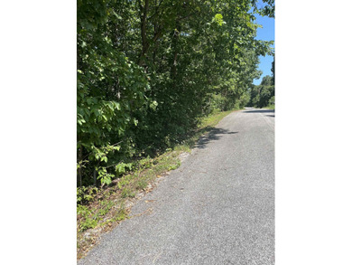 Wooded Residential Lots in Wunderland Est. Subdivision. Close to - photo 8
