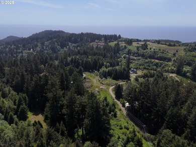 Over 6 Acres of Private, Tranquil and Useable Property. This - photo 19