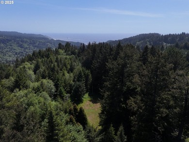 Over 6 Acres of Private, Tranquil and Useable Property. This - photo 20