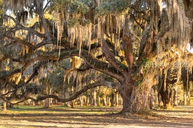 Discover your dream home site in the coveted Whitehall Point - photo 22