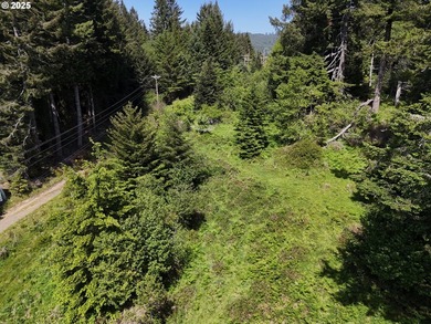 Over 6 Acres of Private, Tranquil and Useable Property. This - photo 23