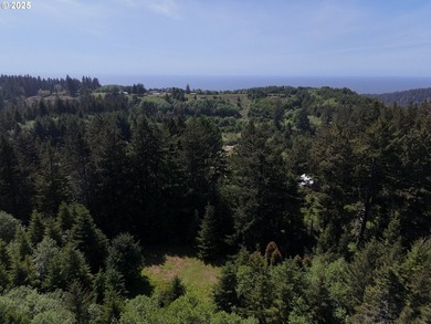 Over 6 Acres of Private, Tranquil and Useable Property. This - photo 24