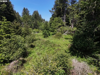 Over 6 Acres of Private, Tranquil and Useable Property. This - photo 25