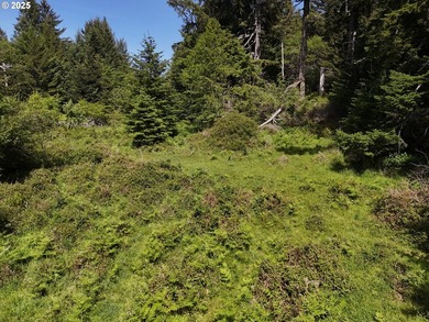 Over 6 Acres of Private, Tranquil and Useable Property. This - photo 26