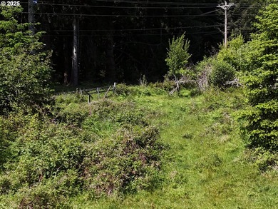Over 6 Acres of Private, Tranquil and Useable Property. This - photo 27