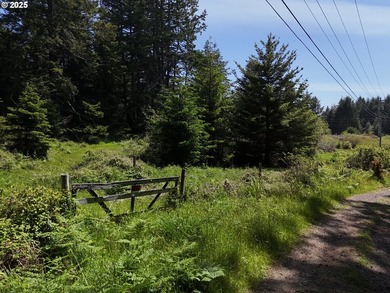 Over 6 Acres of Private, Tranquil and Useable Property. This - photo 29