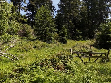 Over 6 Acres of Private, Tranquil and Useable Property. This - photo 30