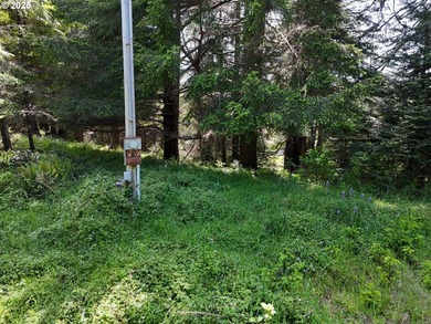 Over 6 Acres of Private, Tranquil and Useable Property. This - photo 33