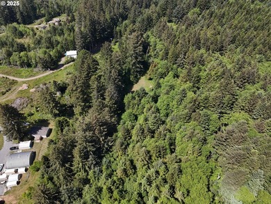 Over 6 Acres of Private, Tranquil and Useable Property. This - photo 38