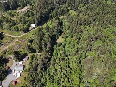 Over 6 Acres of Private, Tranquil and Useable Property. This - photo 40