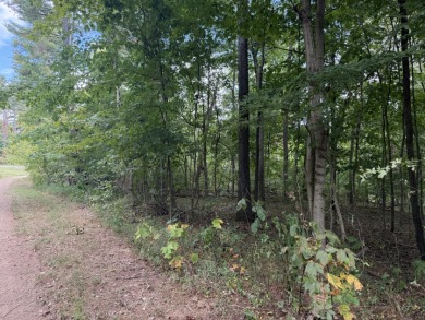 Pending: Building Lot by Axtel & Nick's Boat Dock - photo 12