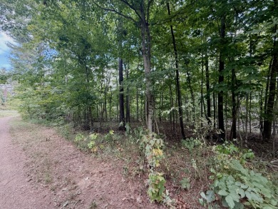 Pending: Building Lot by Axtel & Nick's Boat Dock - photo 11