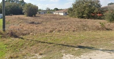 Lehigh Acres Area Lot For Sale in Lehigh Acres Florida