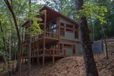 Lake Home For Sale in Ellijay, Georgia