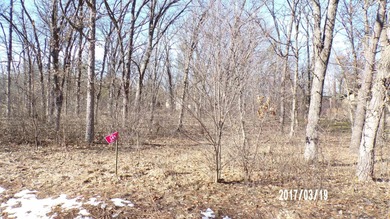 Lake Arrowhead Lot For Sale in Nekoosa Wisconsin