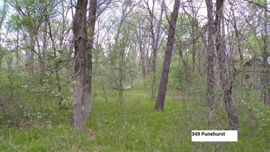 Lake Arrowhead wooded lot located between the *Lakes Course and - photo 2