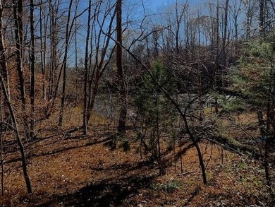 Discover the perfect opportunity to build your dream home on the - photo 2