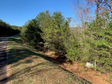 Come build your dream home on the lake in the beautiful Runaway - photo 2