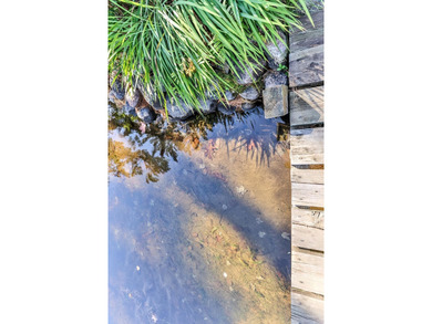 Tucked along the shores of beautiful Rest Lake on the coveted - photo 3