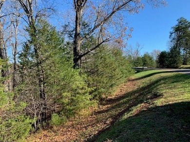 Come build your dream home on the lake in the beautiful Runaway - photo 4
