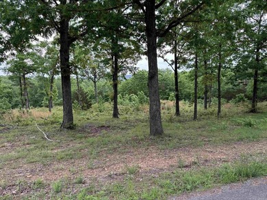 Great Lot in a desirable neighborhood for building a nice home! - photo 2