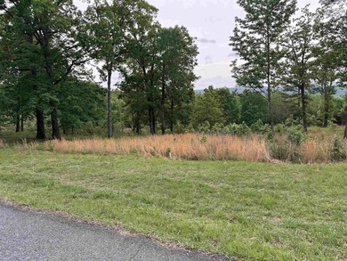 Great Lot in a desirable neighborhood for building a nice home! - photo 4