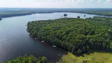 Here's a fantastic opportunity to build the legendary Island - photo 17
