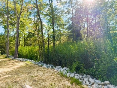 Experience the quintessential Lowcountry lifestyle with this - photo 7